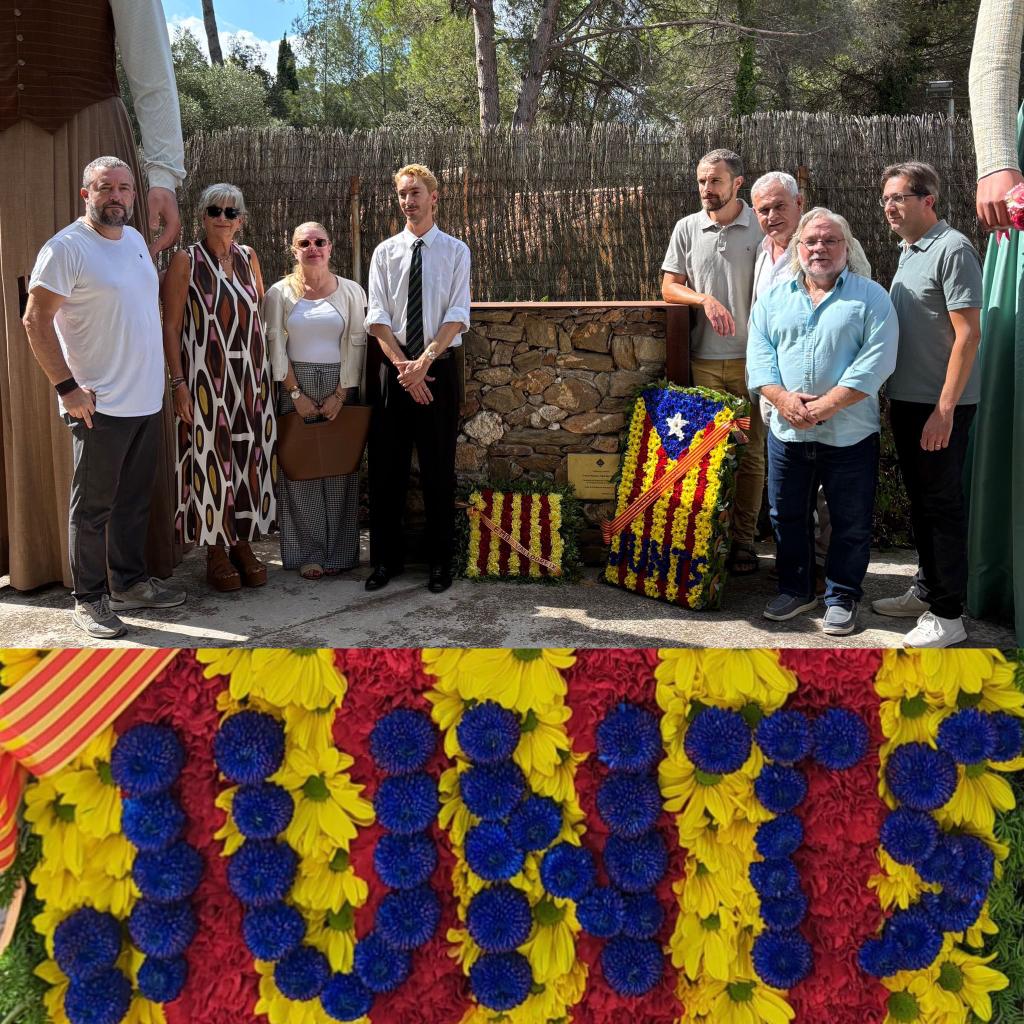 VDX Cultural i Plural tweet media