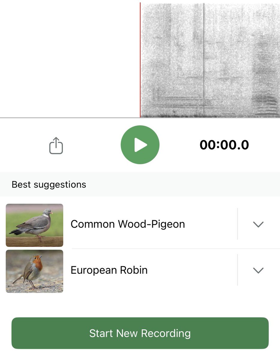 Miss. Miller tweet media
