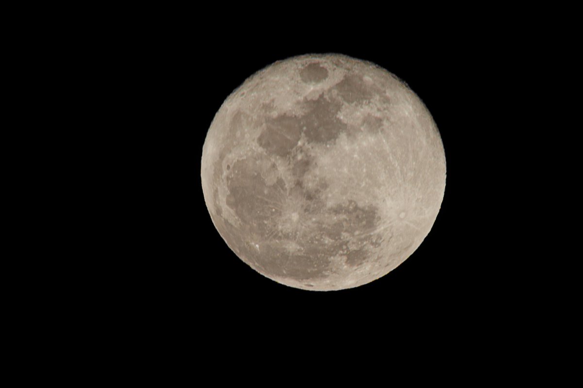 📷聖人(Kiyohito) tweet media