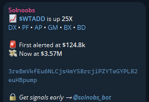 Solnoobs tweet media