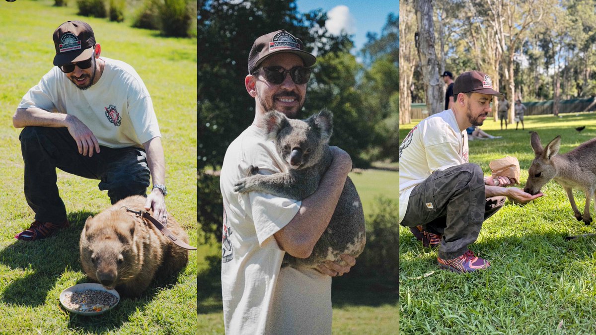 living for all the ‘Mike Shinoda in Australia’ updates❤️🐨🦘
