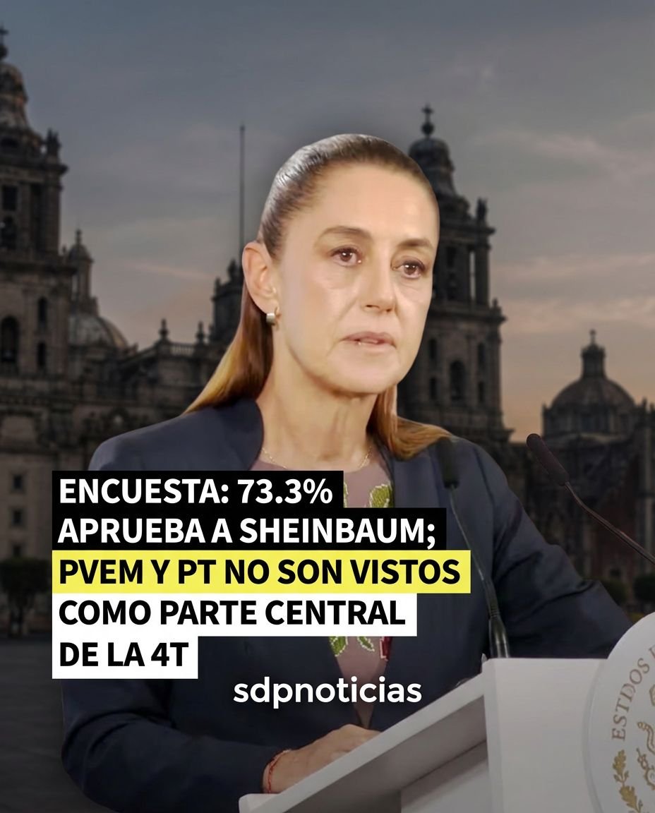 SDP Noticias tweet media