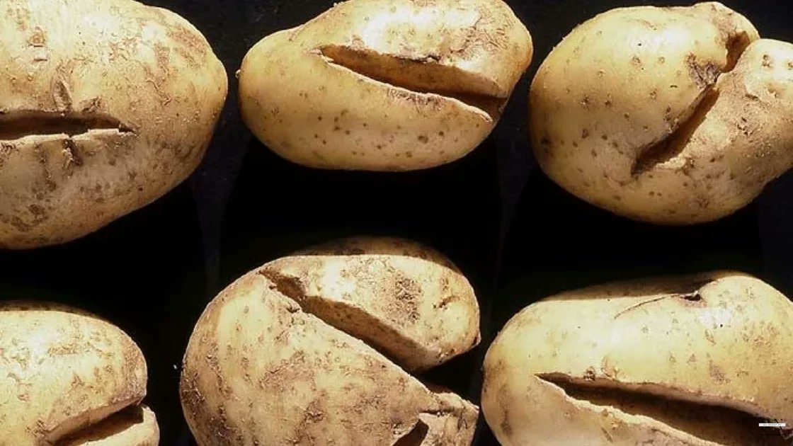 potatoes.news tweet media