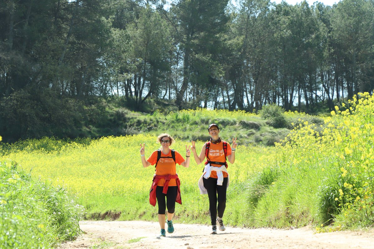 Manresa Transforma tweet media