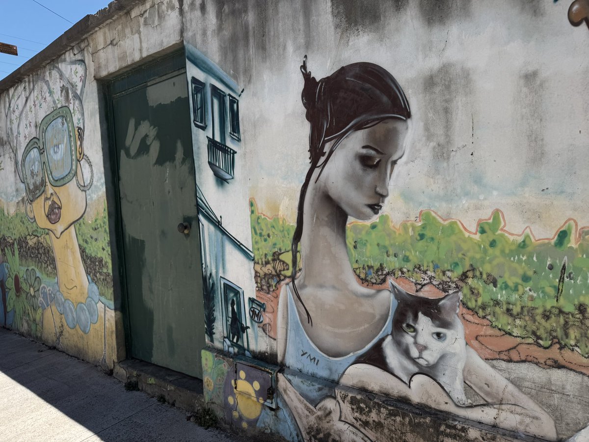 Paweł Czado tweet media