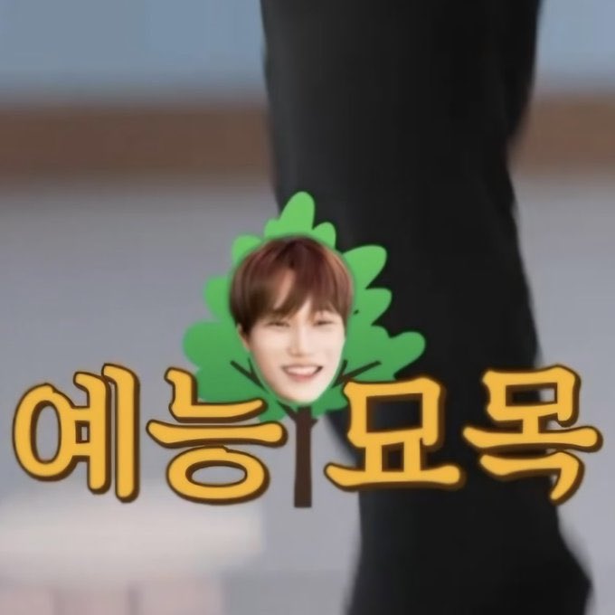 he has been promoted to variety show TREE now