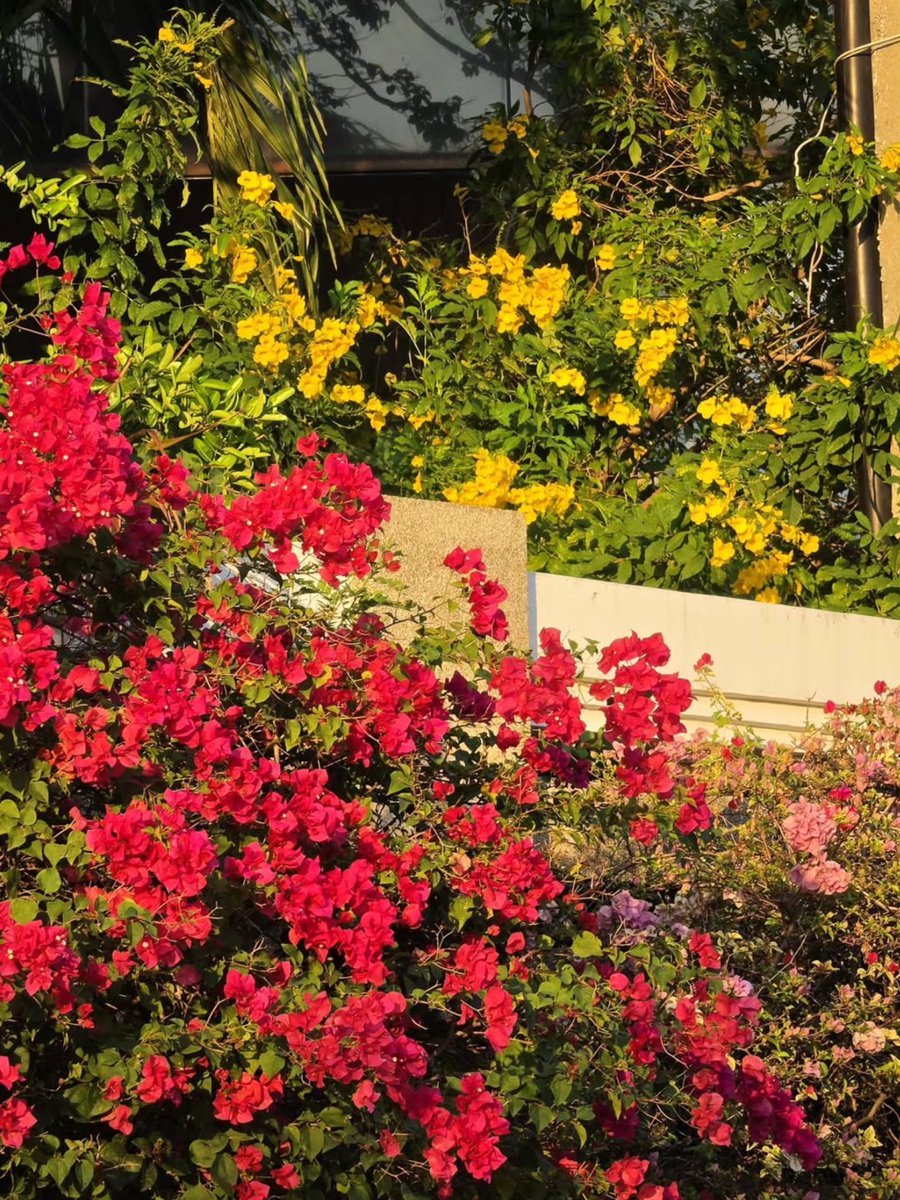 ─𐙚 พิน้ำใส ⋆˚⊹ tweet media