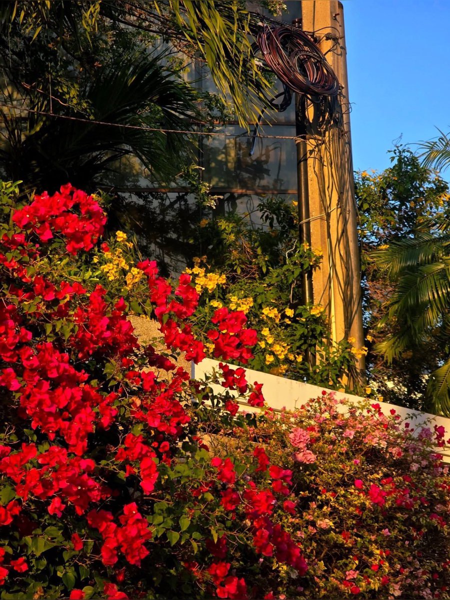 ─𐙚 พิน้ำใส ⋆˚⊹ tweet media