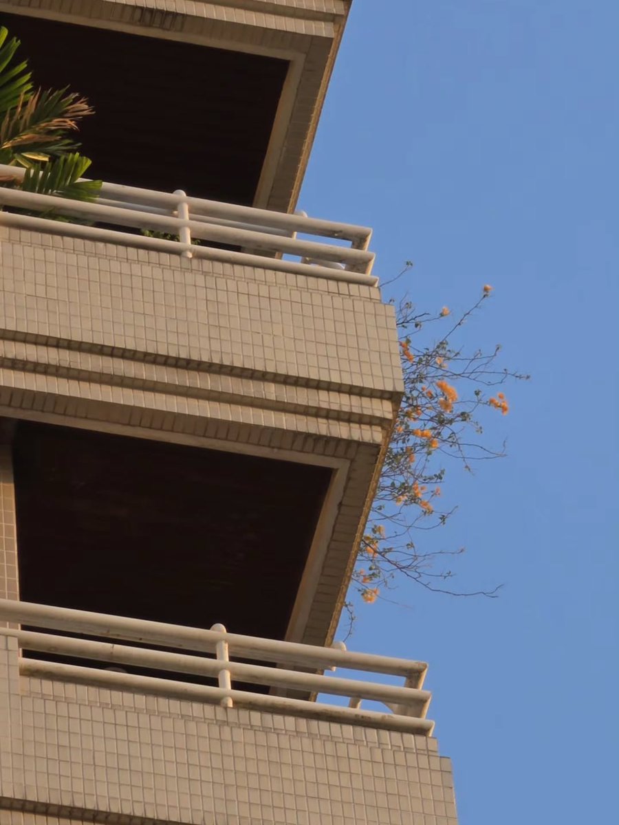 ─𐙚 พิน้ำใส ⋆˚⊹ tweet media