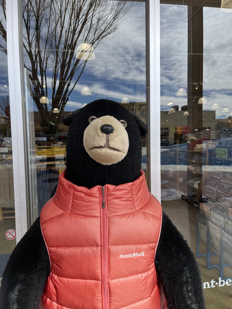 モンベルのクマさんとおやまくま♪🐻 どっちもかわいいですね🩷