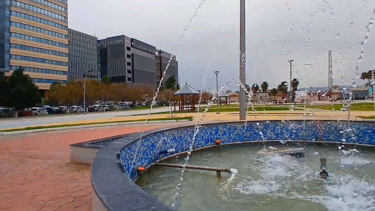 Algeria Project tweet media