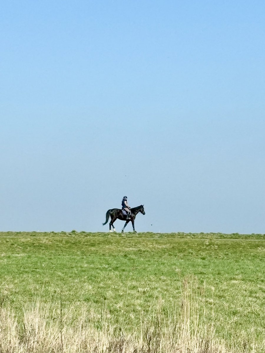 Porkchop Express tweet media