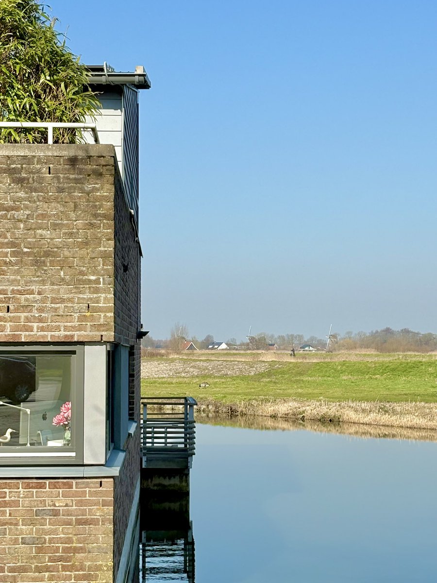 Porkchop Express tweet media