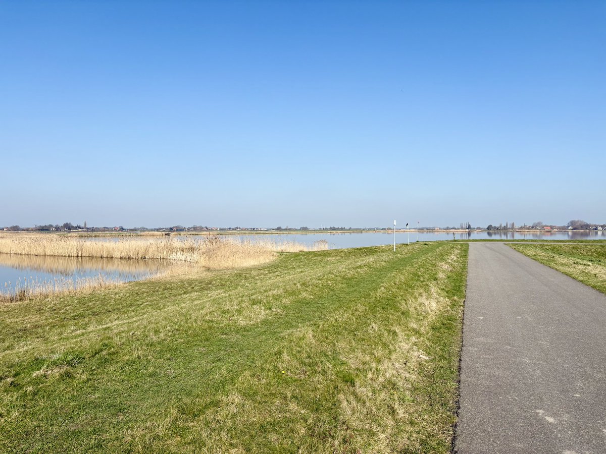 Porkchop Express tweet media