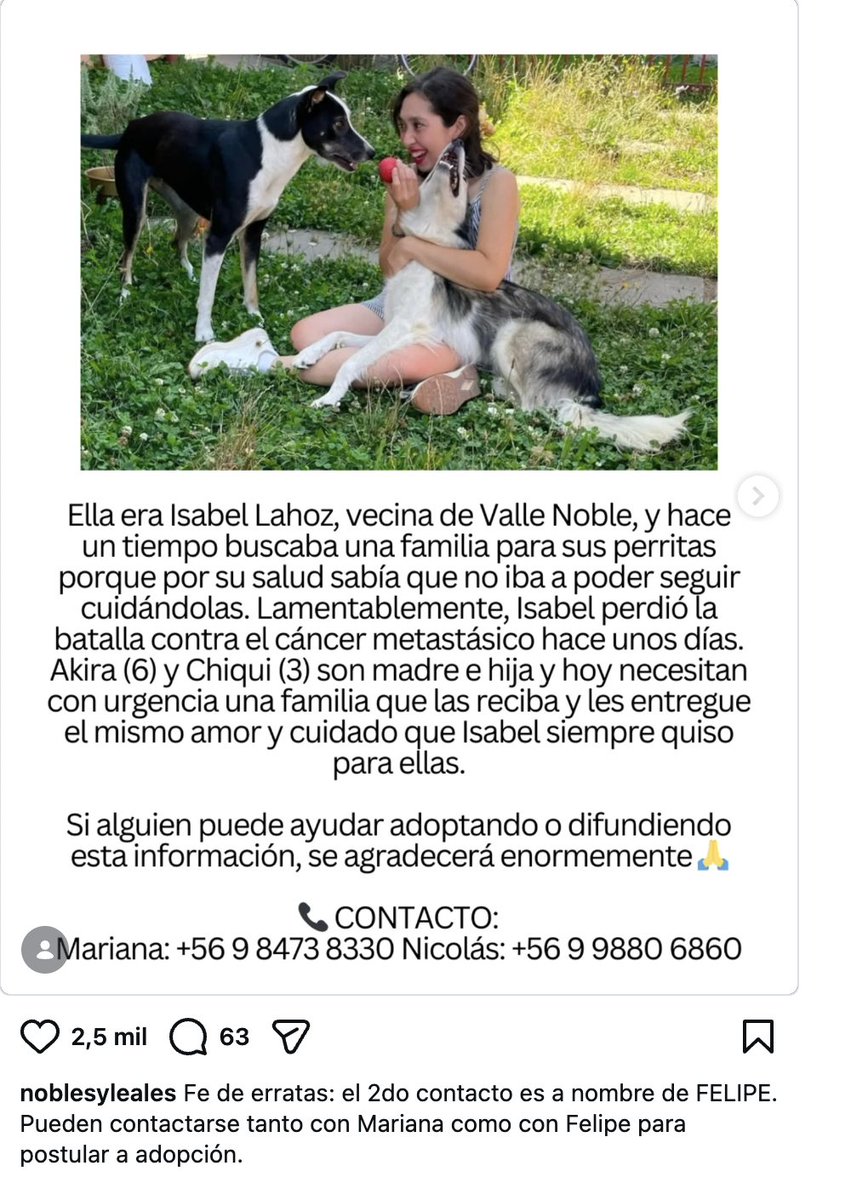 Un chica falleció de cáncer y buscan adoptantes para las sus dos perritas, es acá en Concepción, qué situación más triste, se ven hermosas y sanas. La vida es muy injusta y no lo superaré nunca.