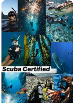 las WEAS que te dice pinterest dios mío