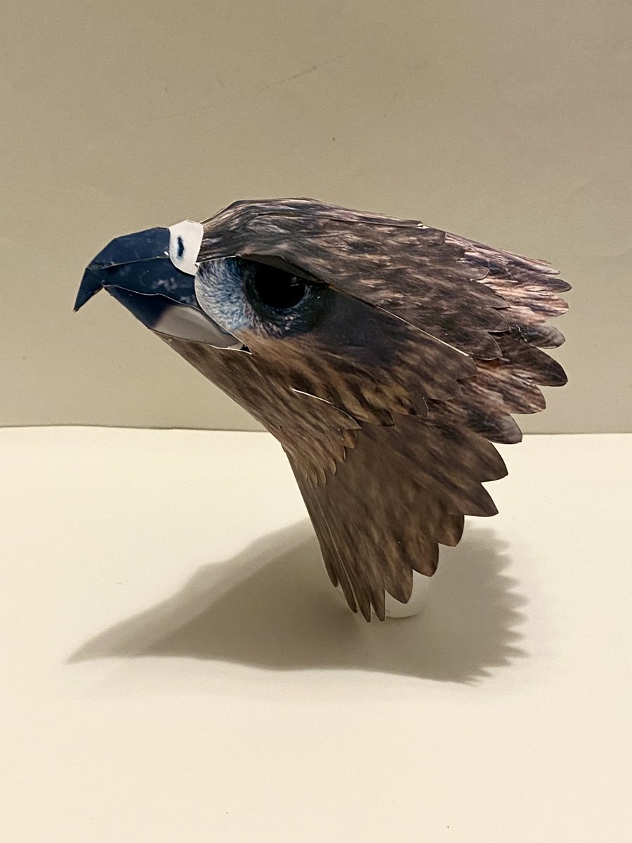 kamitoriya's tweet photo. The black kite was temporarily at my house for repairs, but it will be finished soon.

#papercraft #blackkite #kamitoriya https://t.co/CEwAgls5AX