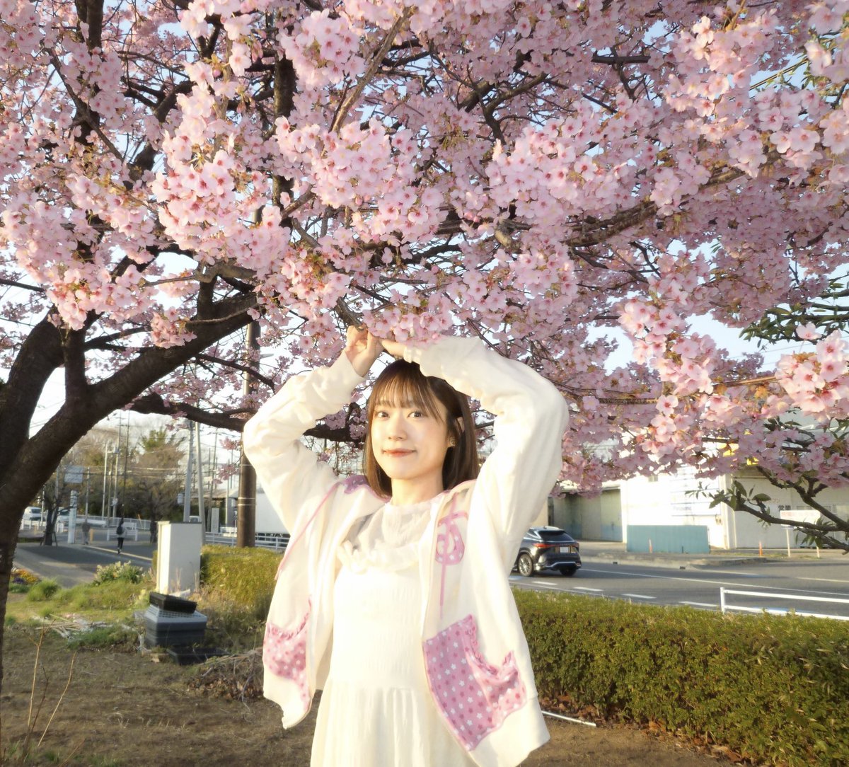 アサヒ tweet media