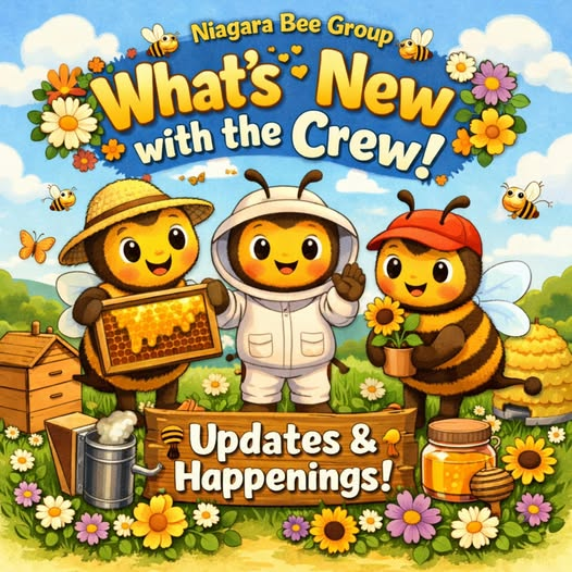 Niagara Bee tweet media