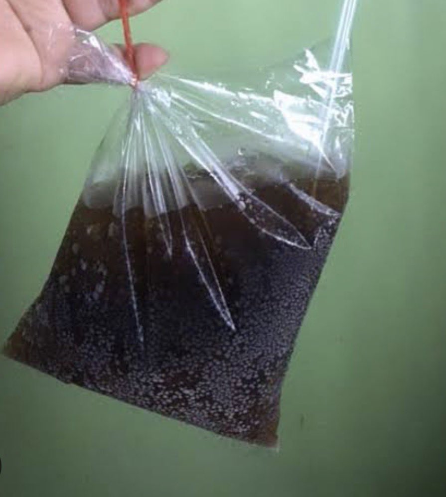 เกิดทันหรอลูก