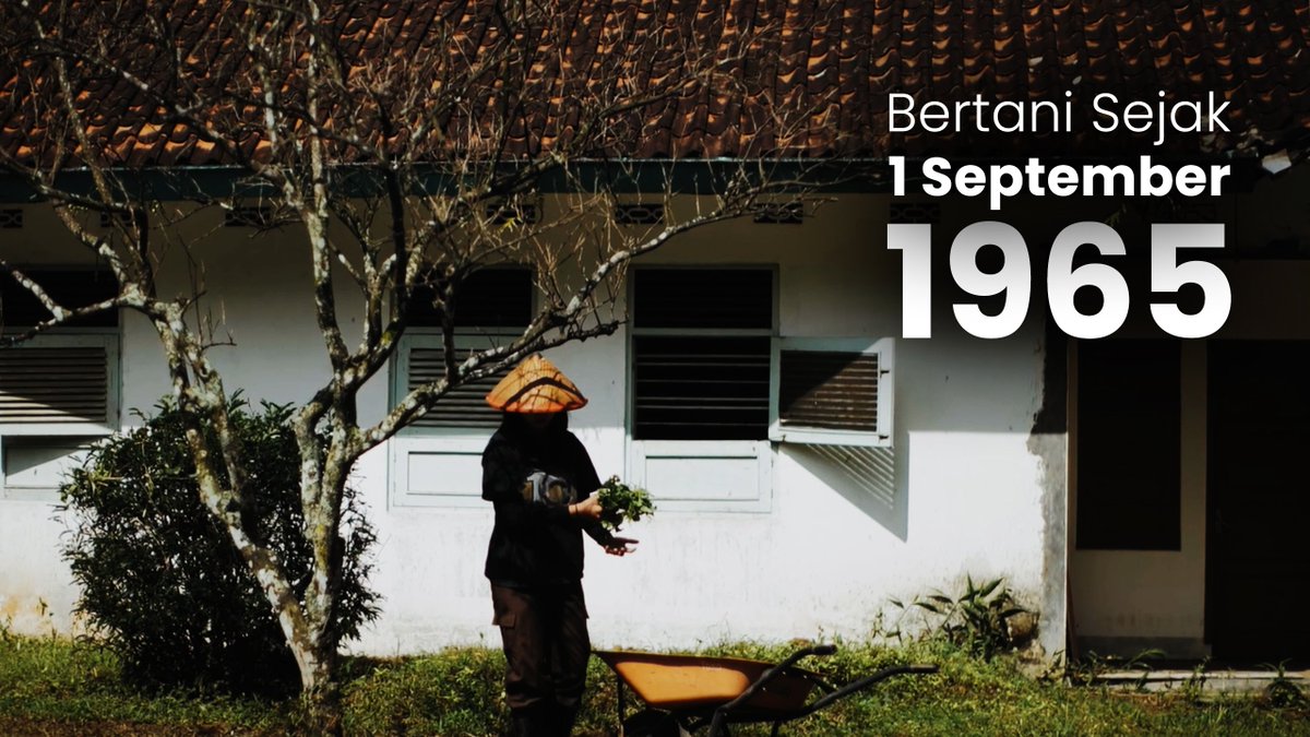 Ardi Darmawan tweet media