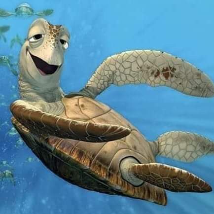 Imagina um rolê com esses caras