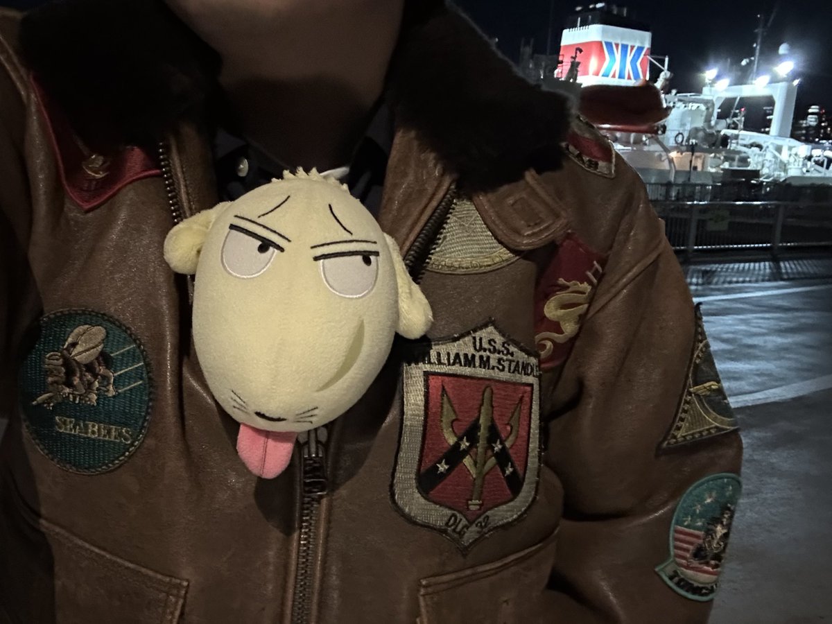 1996年3月4日、カイジがエスポワールに乗船した日から今日で30年なので晴海埠頭に来ましたっ‥‥‥！🚢✊✌️✋⭐️⭐️⭐️
それと今日でカイジの連載開始から30年らしい。30周年おめでとうございます‥‥‥！！
めちゃくちゃ寒い！！！！！！