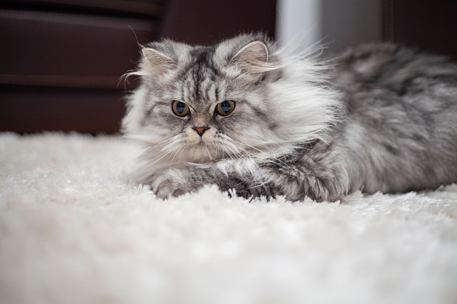 Todd Post tweet media