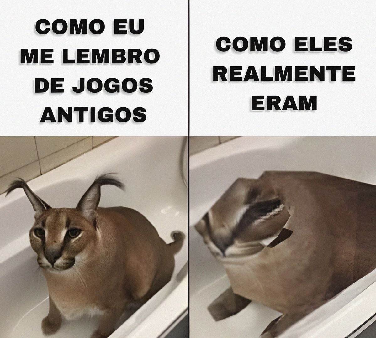 shitpostverdade's tweet photo. https://t.co/2zupUwV8EU