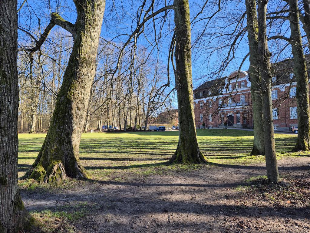 VDP Nord e.V. tweet media