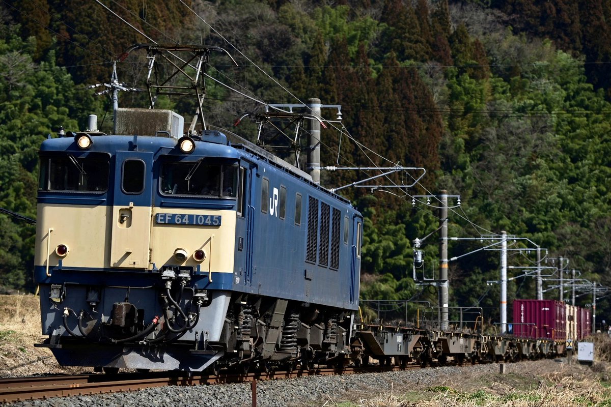 きくらげ (@kawahiyo6330) / Posts / X