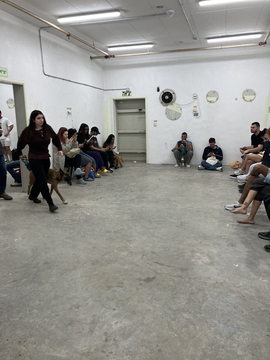 Julien Chavanne tweet media