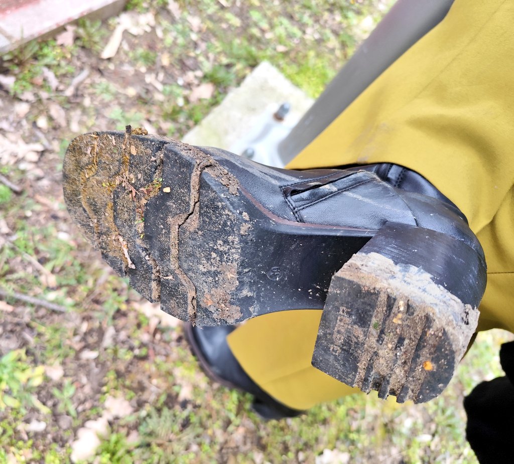 All4GoddessRosa's tweet photo. Would you clean my dirty boots? Even if they have dog shit on the soles?

feetworship beta simp loser findom https://t.co/nWxbZIDmLp