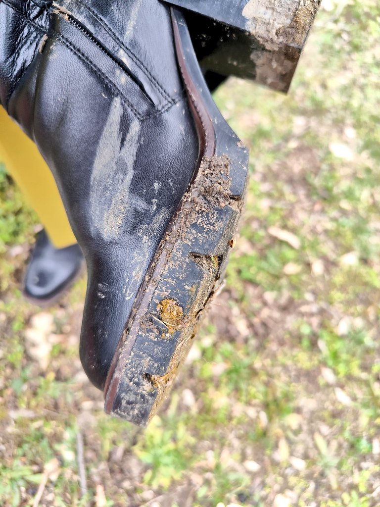 All4GoddessRosa's tweet photo. Would you clean my dirty boots? Even if they have dog shit on the soles?

feetworship beta simp loser findom https://t.co/nWxbZIDmLp