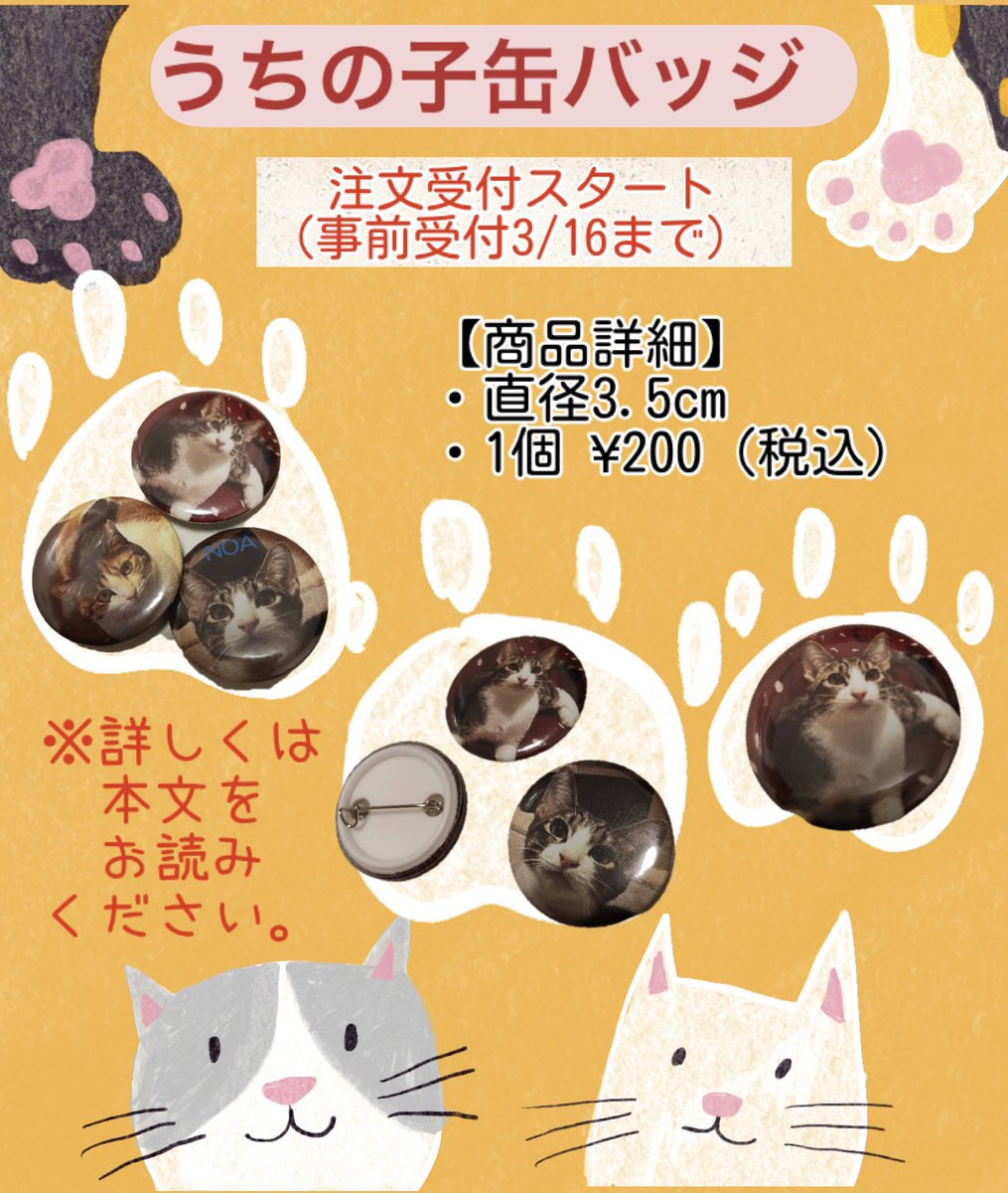 ジル🐾 (@xoxo_jillk) / Posts / X