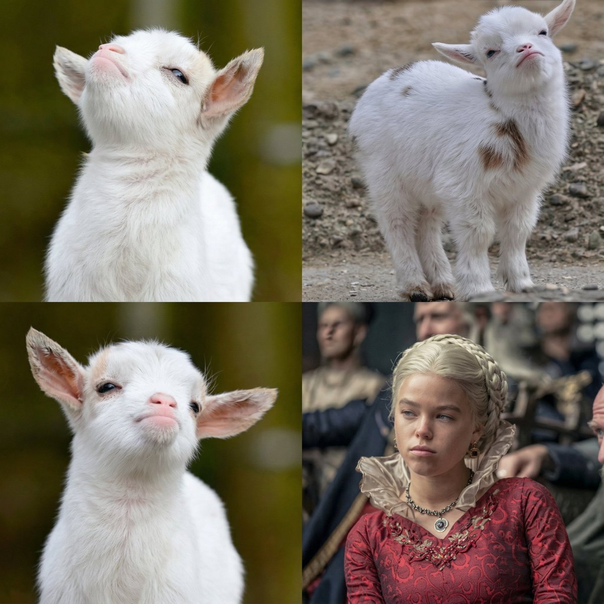 Rhaenyra Targaryen