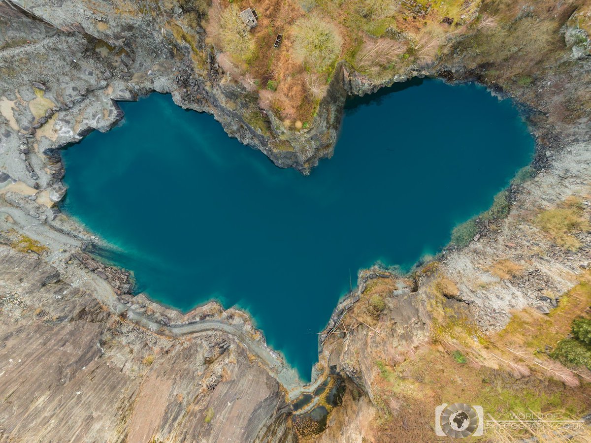 World Of Photography tweet media