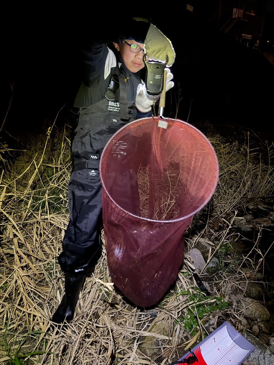 田口勇輝＠オオサンショウウオ生態保全教育文化研究所　所長 tweet media