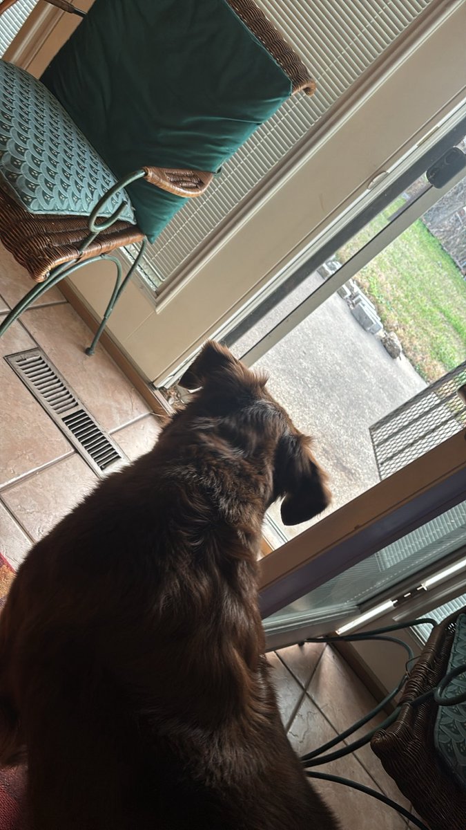 𝐐𝐮𝐚𝐧𝐭𝐮𝐦𝐒𝐚𝐢𝐤𝐞 tweet media