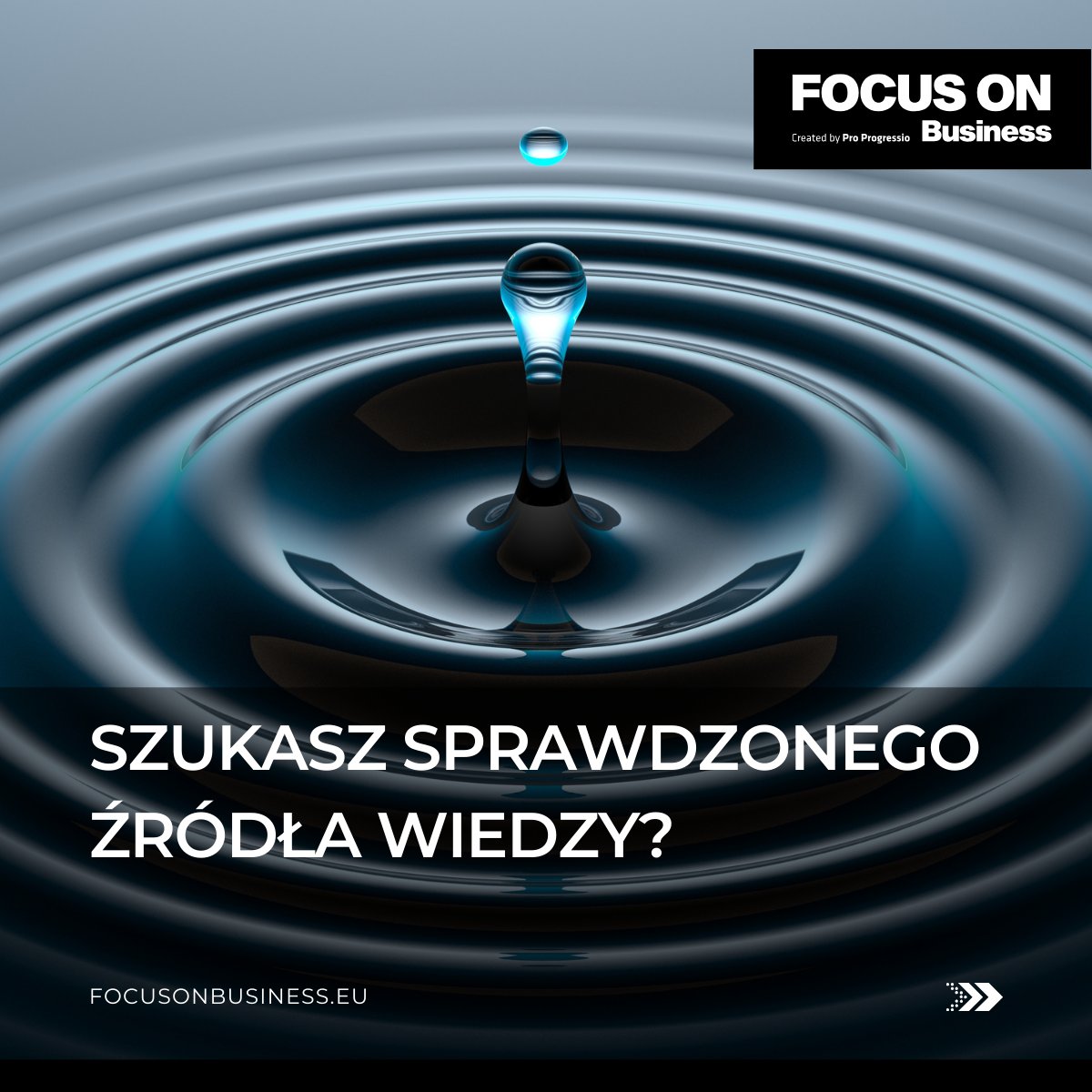 FOCUS ON Business tweet media