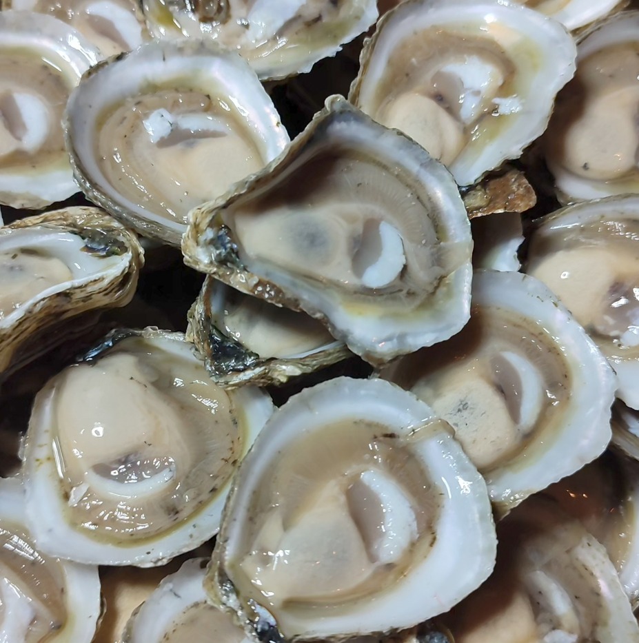 📢 Nuevo Policy Brief INCAR N°20
 Descubre cómo las ostras pueden abrir nuevas oportunidades para el desarrollo sostenible de la acuicultura en Chile.
centroincar.cl/wp-content/upl…
<a href="/SubpescaCL/">Subpesca 🐟🇨🇱</a> <a href="/sernapesca/">Servicio Nacional de Pesca y Acuicultura 🇨🇱</a>  <a href="/comounpescado/">Meyling Tang</a>  <a href="/CocinamarChile/">Fundación CocinAmar</a> <a href="/AQUASocial/">Medios AQUA</a> <a href="/mundoacuicola/">Mundo Acuícola</a> <a href="/ANID_Chile/">Agencia Nacional de Investigación y Desarrollo</a>