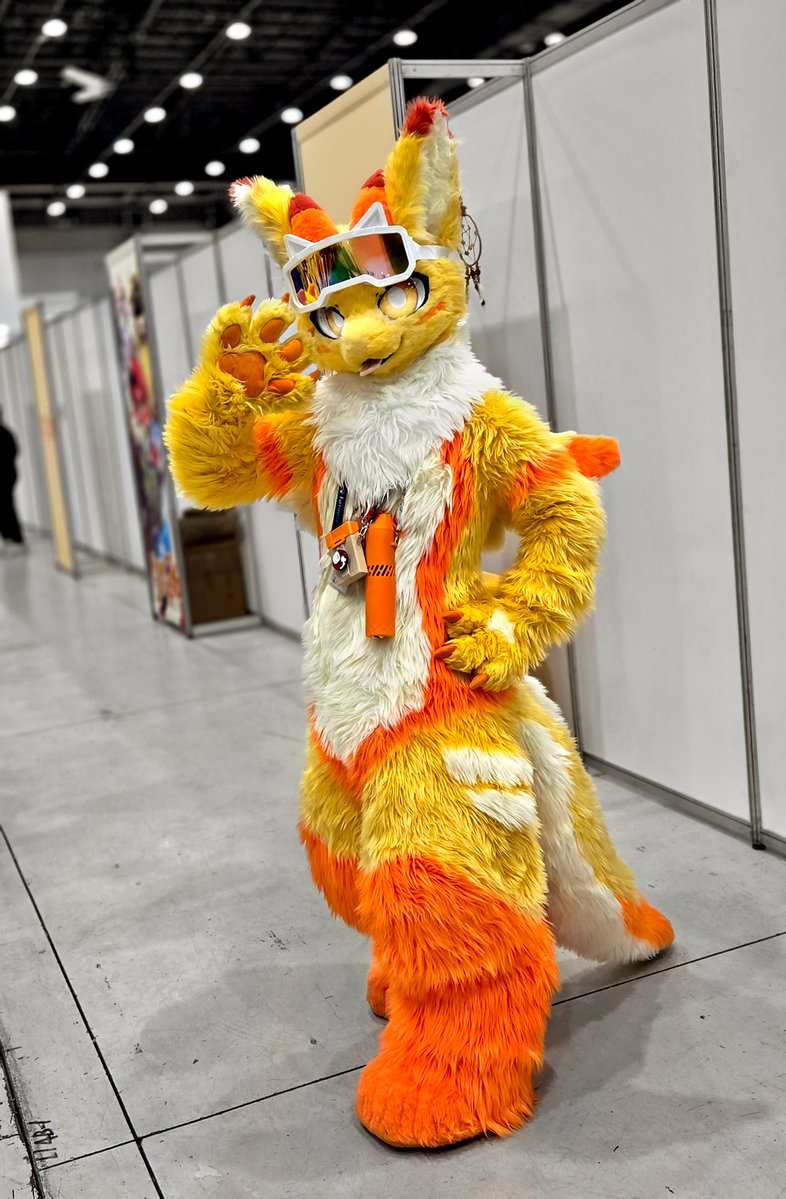 Night Fury tweet media