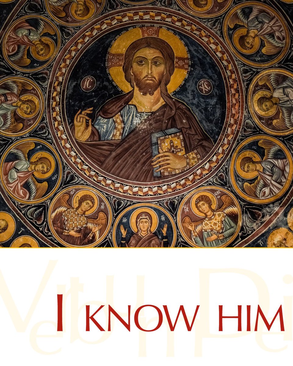 Vatican News tweet media