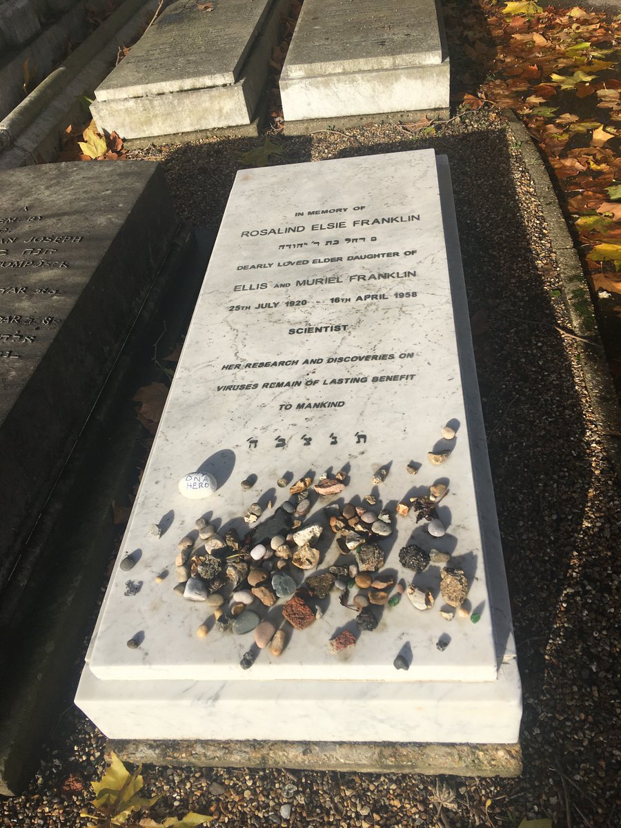 Willesden Jewish Cemetery tweet media