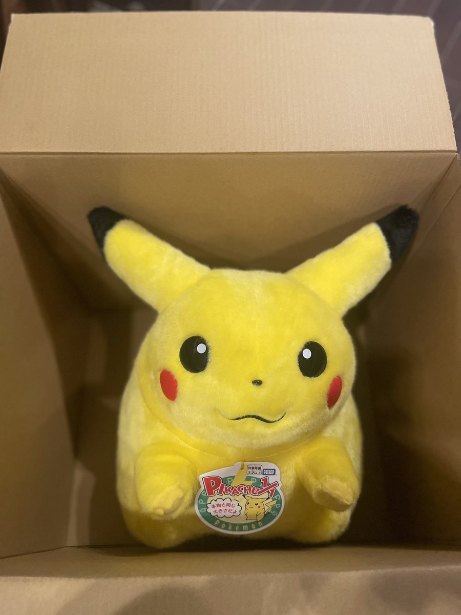 610un's tweet photo. おかえり、ピカチュウ ꜀(  ꜆-⩊-)꜆♡
 #ポケモン30周年 https://t.co/YoBbthl4RF