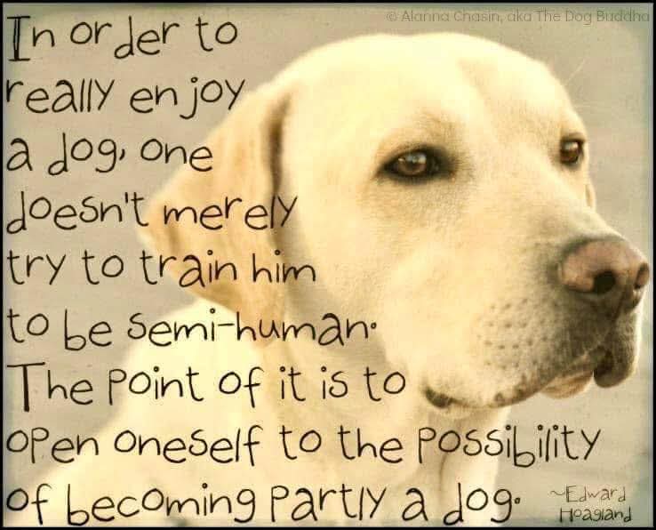 Samanthas Friends tweet media