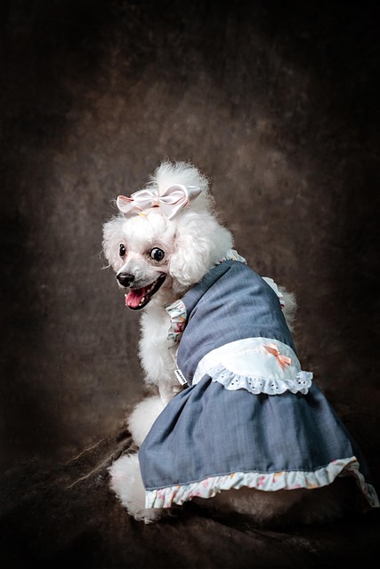 Tim Broad tweet media