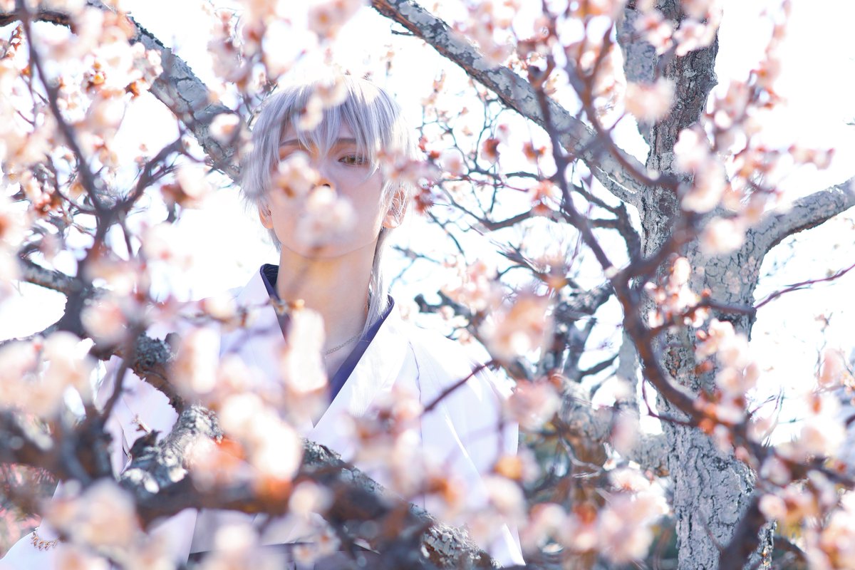 8a8a_2's tweet photo. cos
鶴丸国永
photo @mochikuinee https://t.co/w8OleG1mA0