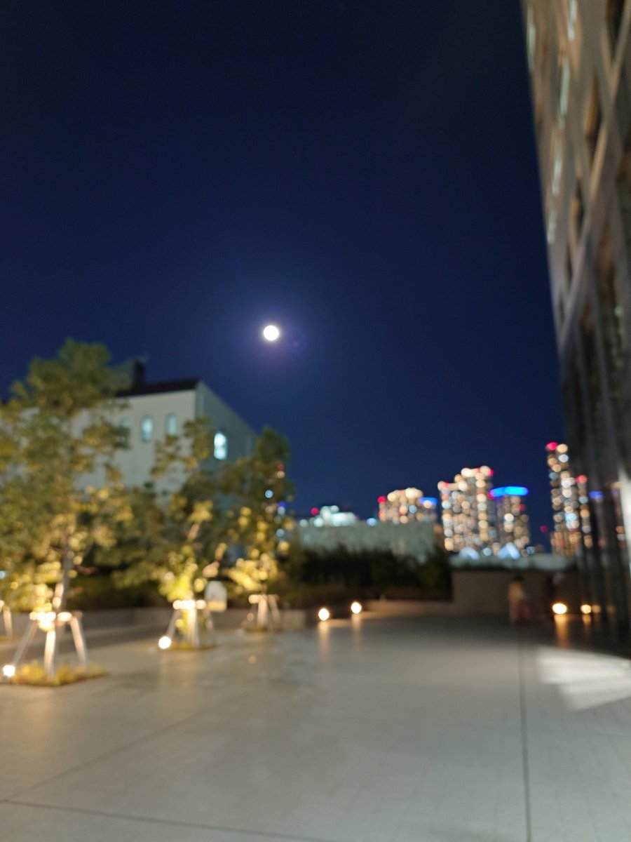 りーふ🍀 tweet media