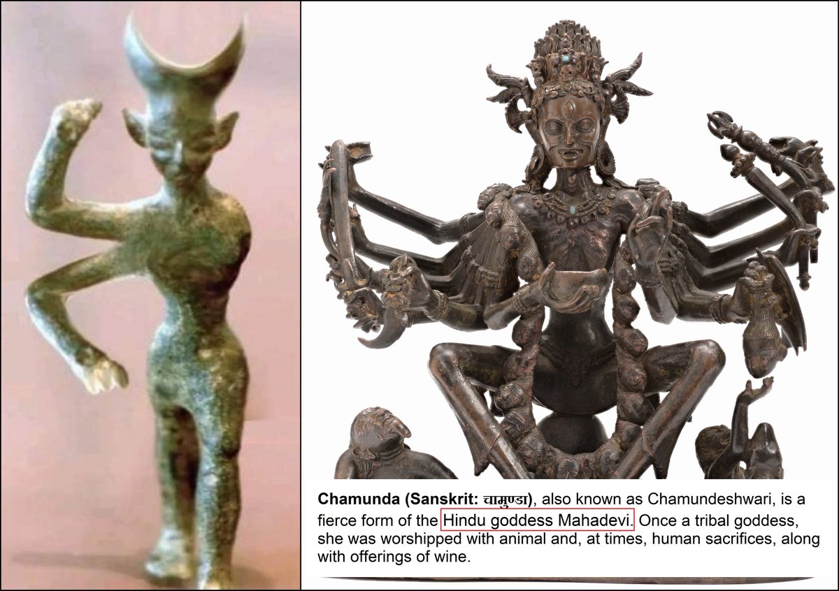 Truth.in.tawheed tweet media